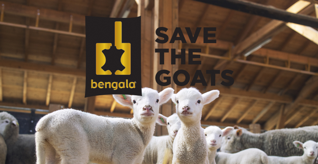 placeholder image-sq